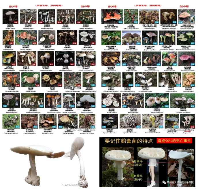 微信截圖_20230724093045.png