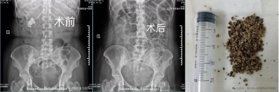 微信截圖_20240513093831.png